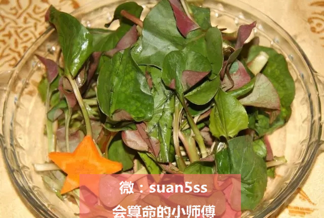 春天正是吃野菜的好时令,云南墨江时令野菜上市尝鲜正当时