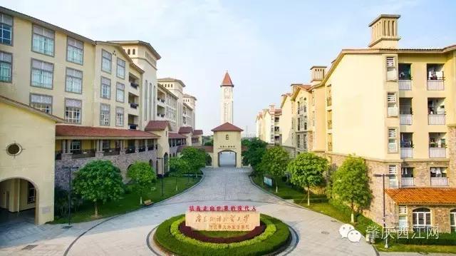 肇庆市足球特色学校有哪些,肇庆市有哪些体育学校