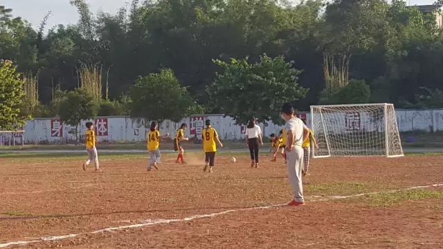 肇庆市足球特色学校有哪些,肇庆市有哪些体育学校