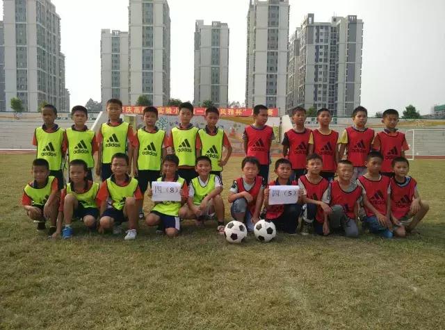 肇庆市足球特色学校有哪些,肇庆市有哪些体育学校