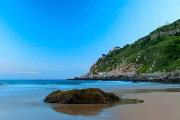 清明深圳周边一日游好去处,深圳仙湖植物园清明踏青赏花