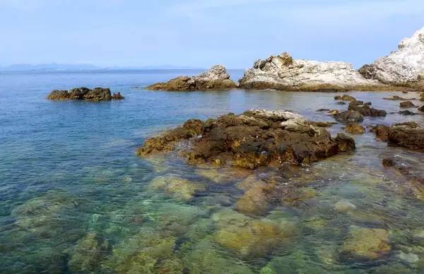 清明深圳周边一日游好去处,深圳仙湖植物园清明踏青赏花