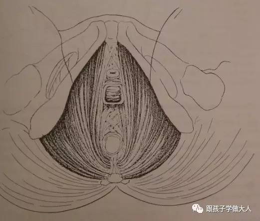 准妈妈健身,有助顺产无侧切的动作