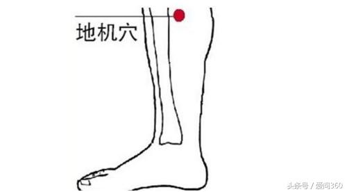 解决身体湿气的中药方子,身体湿气重吃什么药最好最快排湿