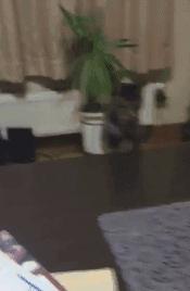 被*蛇钻毒**进裤裆里差点一发入洞