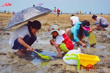 三年级作文夸家乡500字,二年级夸家乡作文150字