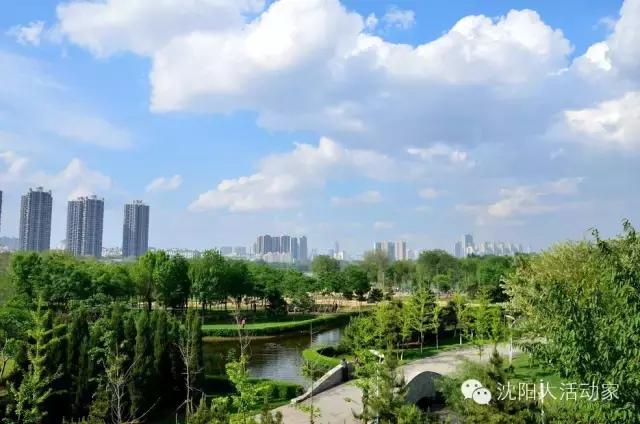 沈阳周边有什么踏青的好地方,沈阳野餐露营的好地方