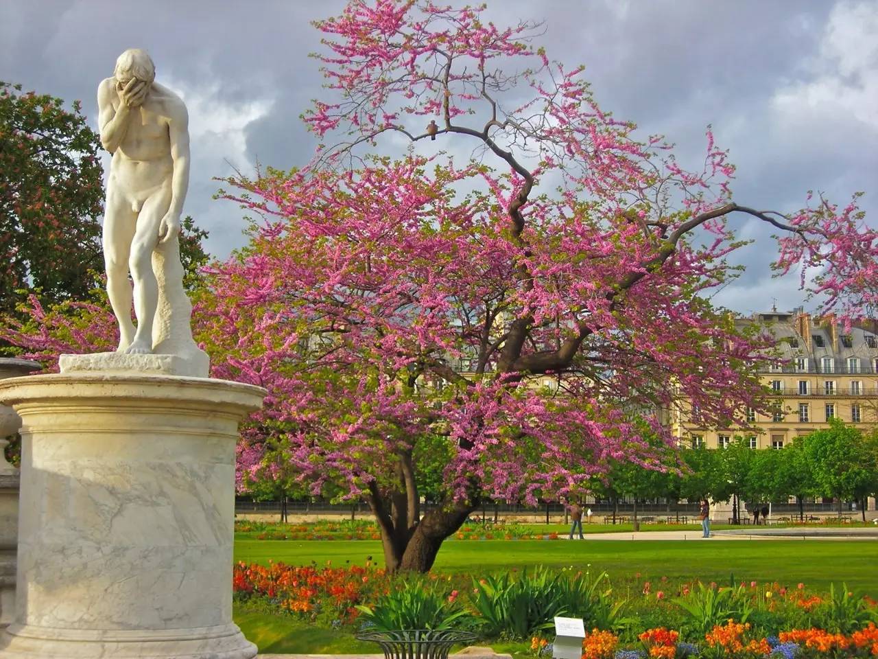 电影情迷巴黎国语版,情迷巴黎免费完整版