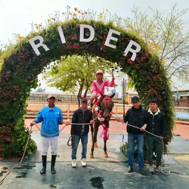 4月2日中信莱德嘉丽泽常规赛赛果出炉：你中大奖了么？