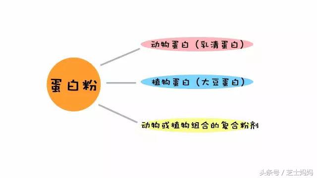 营养师的膳食指导补充蛋白质,营养师科普蛋白质