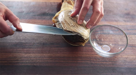 捕捞到各种鱼,捕捞到岸分拣