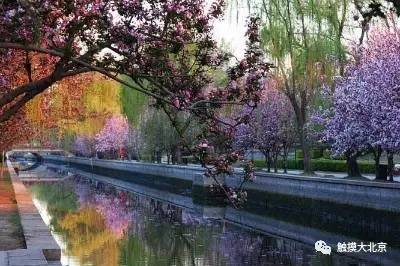 4月整整11天假！瓷器们，这些好消息请查收！