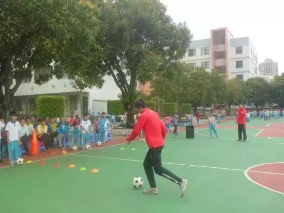 肇庆市足球特色学校有哪些,肇庆市有哪些体育学校