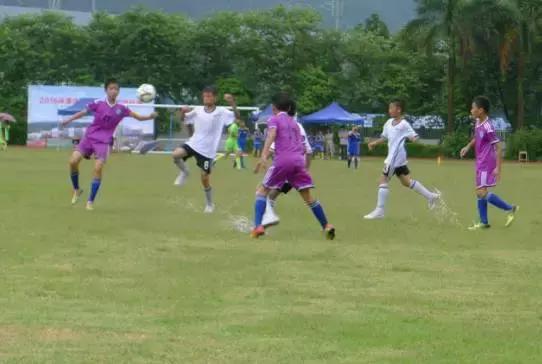 肇庆市足球特色学校有哪些,肇庆市有哪些体育学校