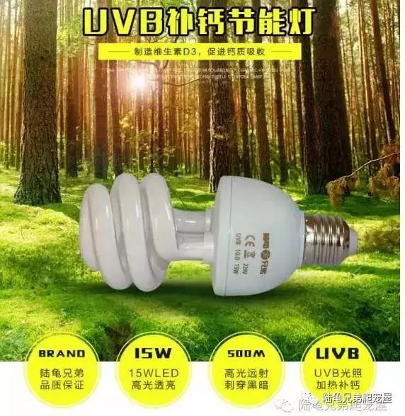 十年磨一剑光启技术深度分析,如何挑选辐射陆龟