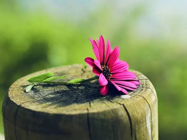 今日合肥油价92号汽油价格,合肥明天油价92汽油优惠