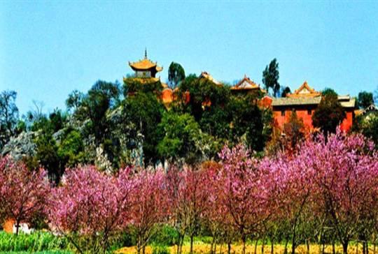 浜戝崡娉歌タ鍘跨編濂虫紓浜悧,浜戝崡绾㈡渤娉歌タ缇庡コ