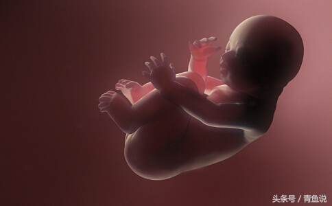 孕晚期胎位不正怎么办,孕晚期38周胎位不正要剖腹产吗