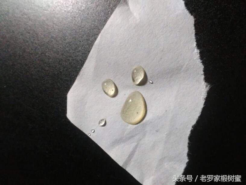 没有一种方法能辨别蜂蜜的真假,测蜂蜜浓度仪器