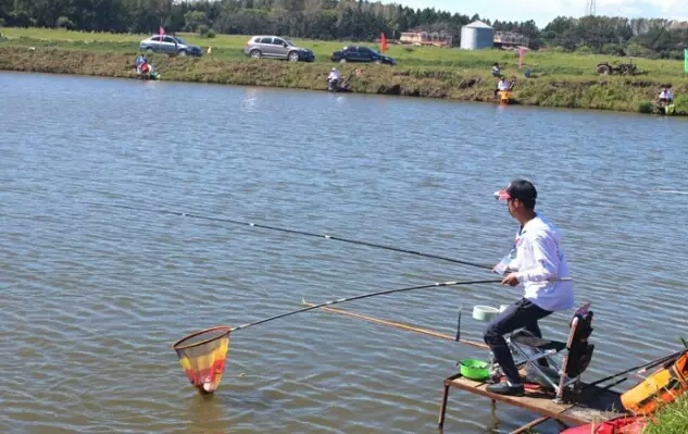 看浮漂提竿技巧视频教学详解,浮漂看吃口