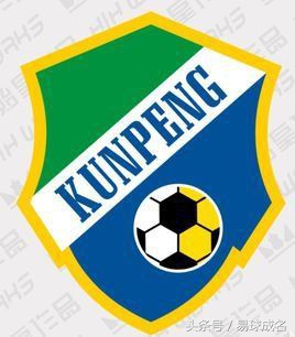 青岛鲲鹏今年踢足协杯吗,中国足协杯青岛鲲鹏