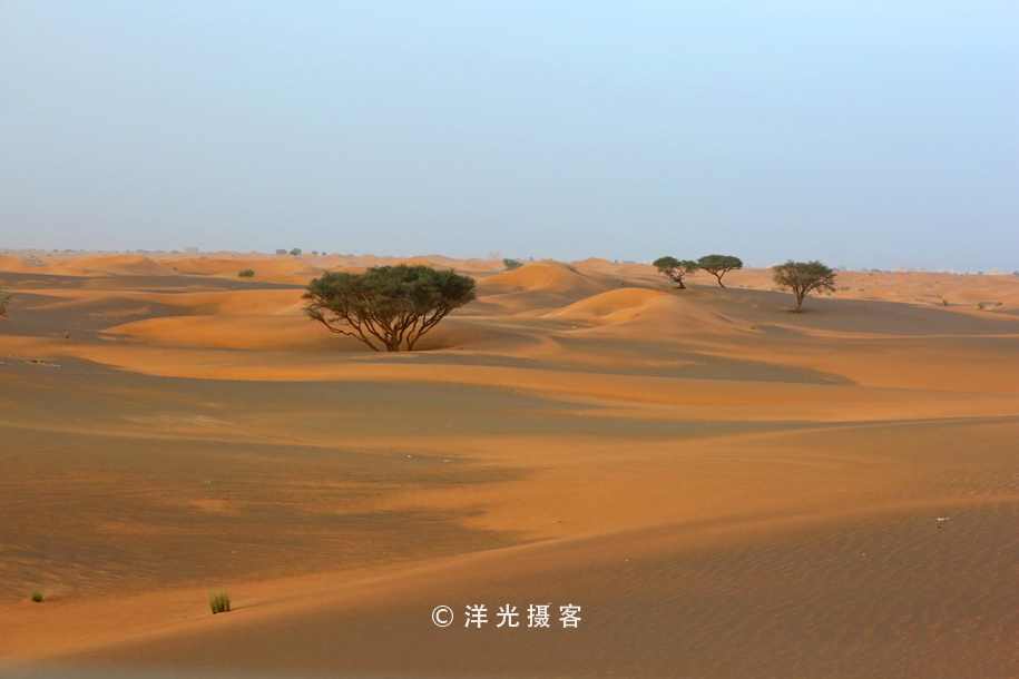 在迪拜体验阿拉伯服装,迪拜体验沙漠越野需要多少钱
