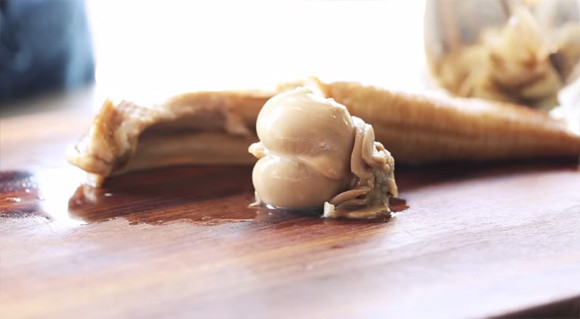 捕捞到各种鱼,捕捞到岸分拣