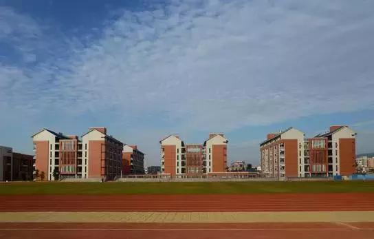 肇庆市足球特色学校有哪些,肇庆市有哪些体育学校