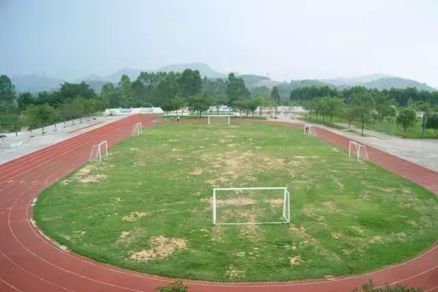 肇庆市足球特色学校有哪些,肇庆市有哪些体育学校