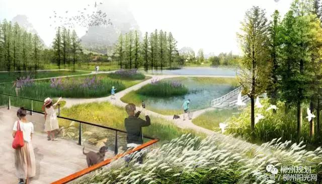 柳江区新规划项目,柳江体育公园什么时候开建