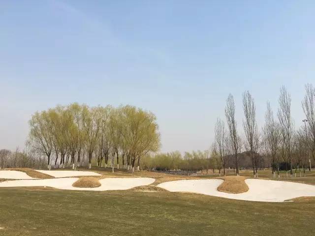 高尔夫足球赛事有哪些,中国足球高尔夫球