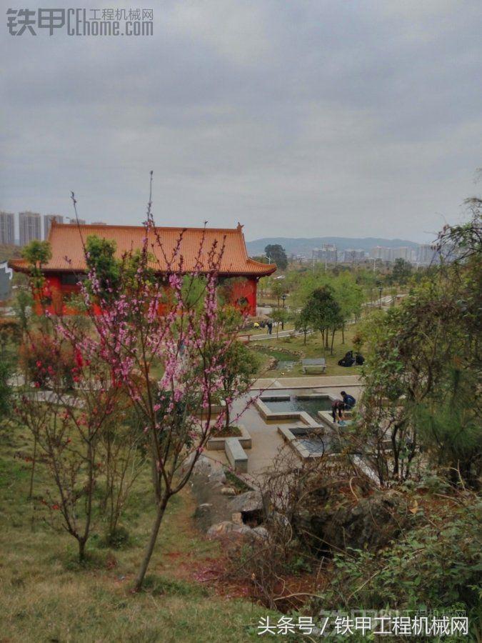 二手经典小松220-5,二手小松200-10