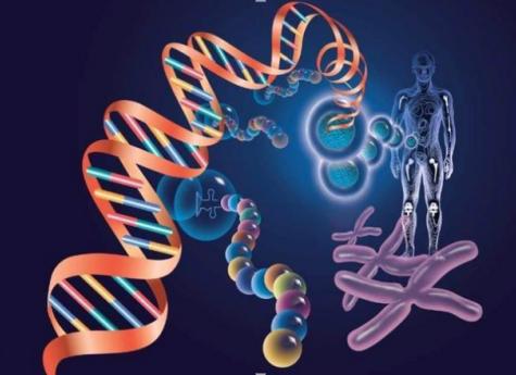 癌症患者是化疗好还是中医调理好,癌症选择中医还是西医