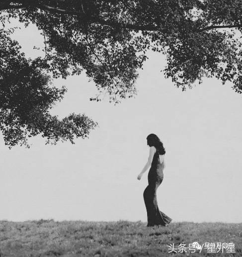 观点聆听｜穿旗袍的爵士火车