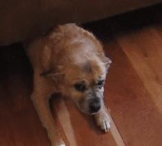 姑娘，别再抬脚了，整个车厢都弥漫着你臭袜子的味道