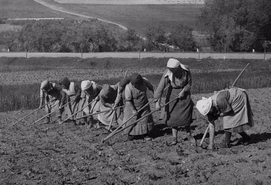 你崇拜的日货德货，曾经也是垃圾山寨货的代表