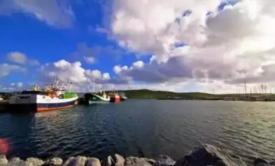 逆天啦,海鼎荟厦门生蚝