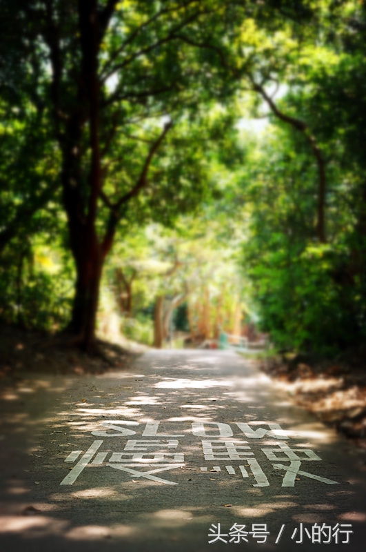 香港南丫岛周润发,周润发在南丫岛哪个村