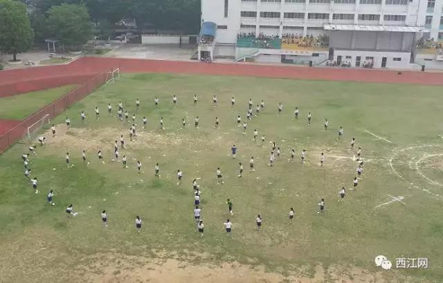 肇庆市足球特色学校有哪些,肇庆市有哪些体育学校