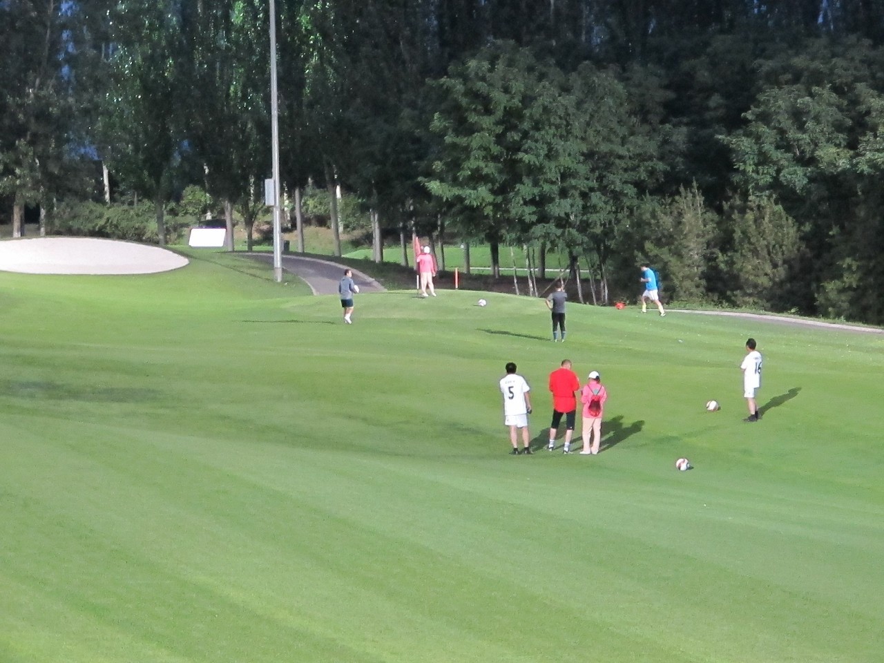 高尔夫足球赛事有哪些,中国足球高尔夫球