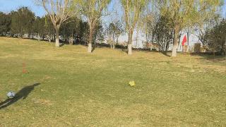 高尔夫足球赛事有哪些,中国足球高尔夫球