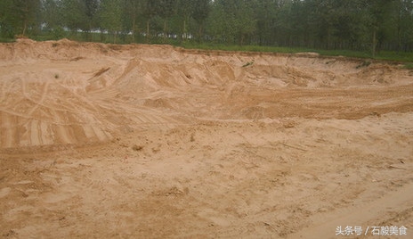 机器灵砍菜刀张卫,机器灵砍菜刀曲谱