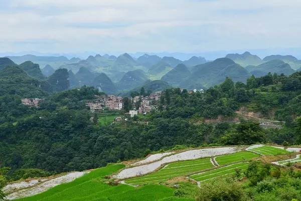 清明深圳周边一日游好去处,深圳仙湖植物园清明踏青赏花