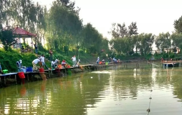 看浮漂提竿技巧视频教学详解,浮漂看吃口