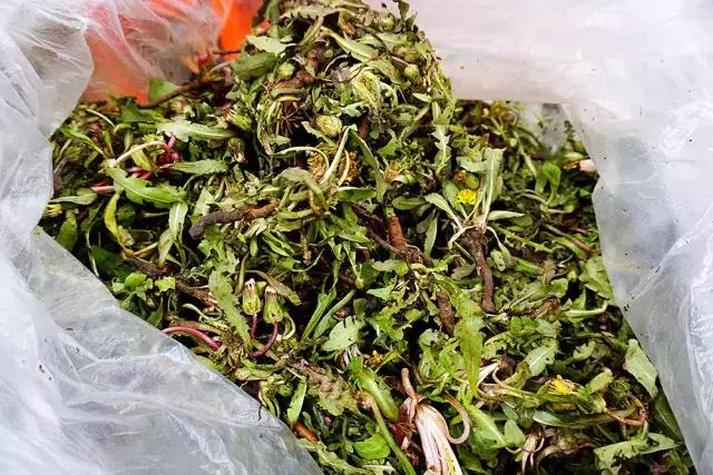 青岛市场火的小吃,最近很火的青岛菜