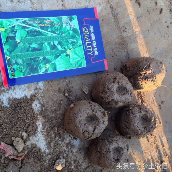 想种出安全绿色蔬菜该怎么做,怎么才能种出又新鲜又好吃的蔬菜