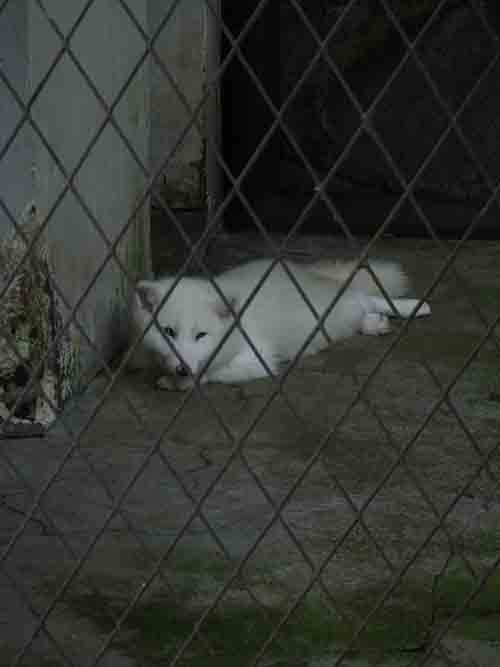 深圳的东湖公园怎么样,深圳市东湖公园