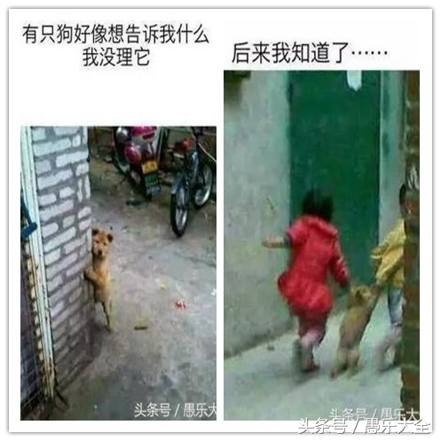 我想红舞蹈舞台版,我想红