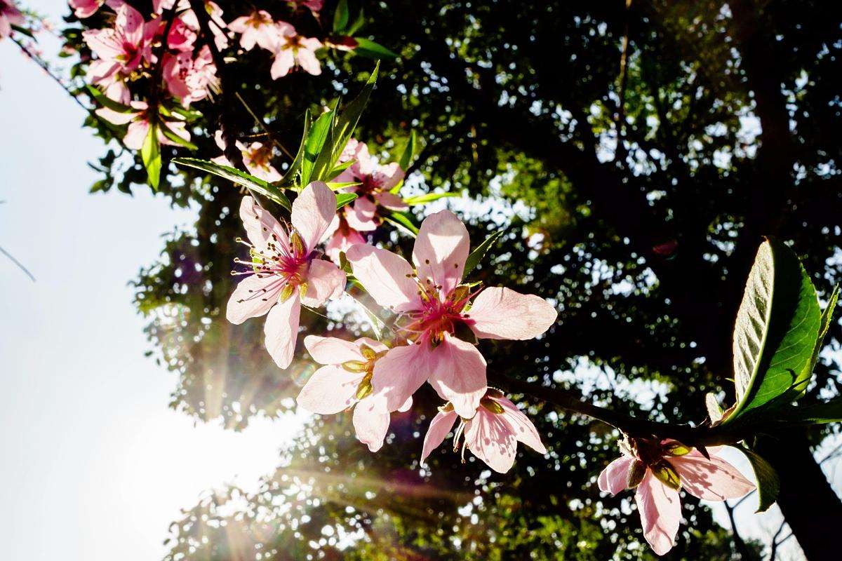 道医辟谷关注事项有哪些,中医养生知识大全辟谷方法