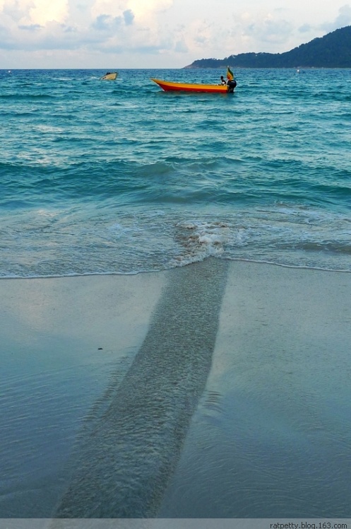 没有电没有通讯的孤独小岛生态奇好，巨大的蜥蜴自在游玩不怕人